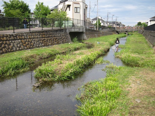 mmsw07.jpg